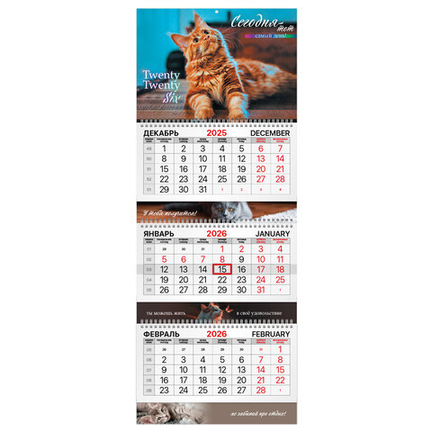 Календарь квартальный 2026 г., BRAUBERG EXTRA, ″Котик″ Календарь квартальный 2026 г., BRAUBERG EXTRA, ″Котик″