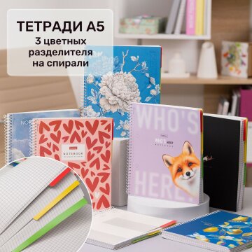 Тетради на спирали с 3-мя разделителями от Hatber: когда круче только горы! Тетради на спирали с 3-мя разделителями от Hatber: когда круче только горы!