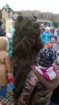 Не забудьте поздравить!