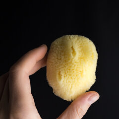 Натуральные губки Натуральные губки