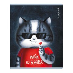 И снова котики - серия тетрадей от ″Феникс+″ И снова котики - серия тетрадей от ″Феникс+″