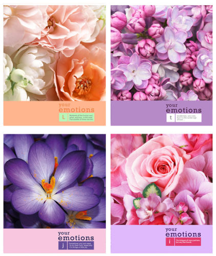 �������� ��� &laquo;���������&raquo; ���������� ������ �������� ����� ����� �������� &laquo;Flowers Emotions&raquo;