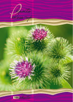 ������� ��� ������� ″Nature macro″: ������� ������� ������
