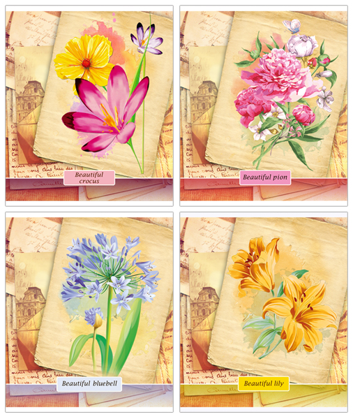 �������� ��� &laquo;���������&raquo; ���������� ������������� � �������� ������� &laquo;Beautiful pion&raquo;