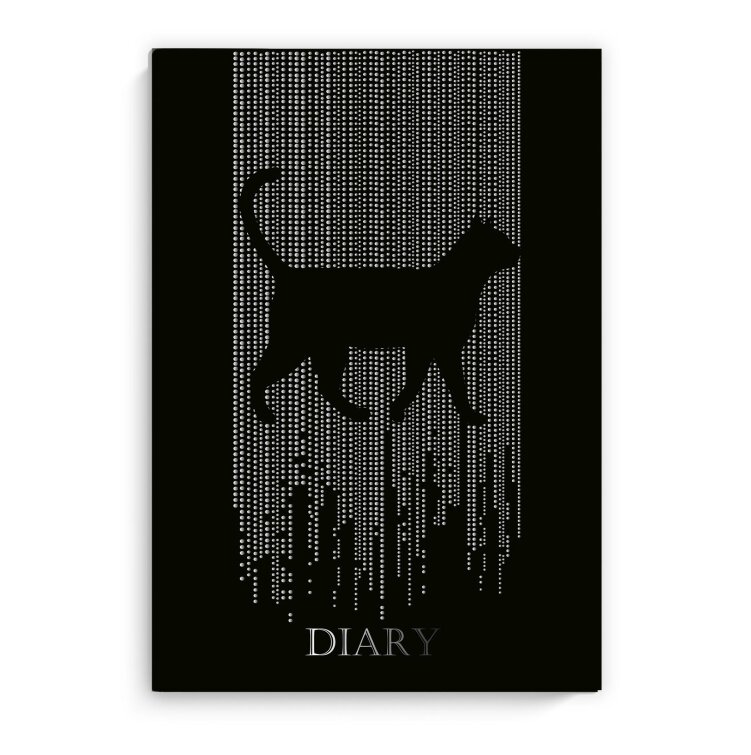 ���������� �������������� DIARY