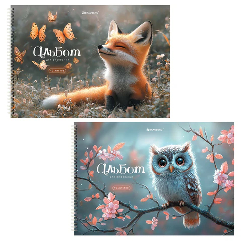 ������� ��� ��������� ″������ ������″ BRAUBERG