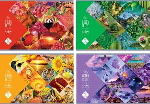Альбом для рисования ″Color of life″: удивительные краски жизни Альбом для рисования ″Color of life″: удивительные краски жизни