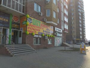202-�� ��������...