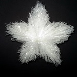 Сказки снежного леса в новой коллекции Winter Wings