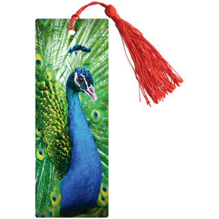 ����� ��������� 3D �������� �� ArtSpace