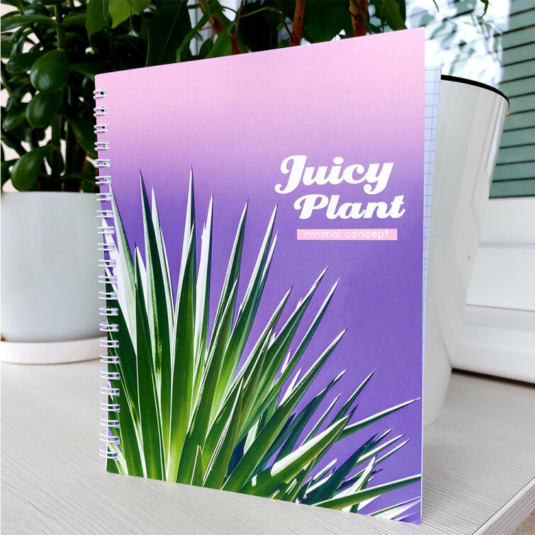 Тетради BG «Jusy plant»: теплый минимализм! Тетради BG «Jusy plant»: теплый минимализм!