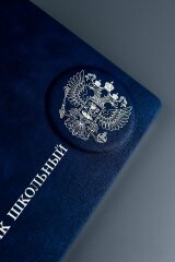 Дневник школьный, формат А5+, 48л., твёрдый переплёт, запаянный край, искусственная кожа ″Лезеретто″, 3D-дизайн, тиснение фольгой Дневник школьный, формат А5+, 48л., твёрдый переплёт, запаянный край, искусственная кожа ″Лезеретто″, 3D-дизайн, тиснение фольгой