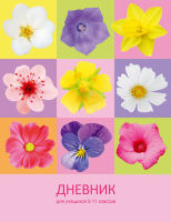 ″Летняя симфония!″ ″Летняя симфония!″