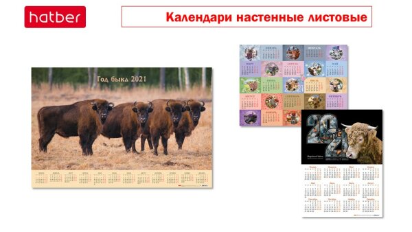 Символ года на календарях Hatber: от Корриды до игрушечных быков.