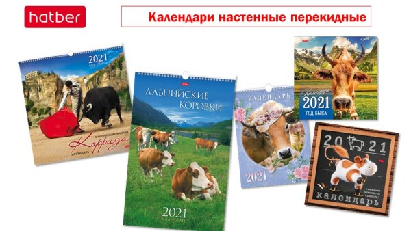 Символ года на календарях Hatber: от Корриды до игрушечных быков.