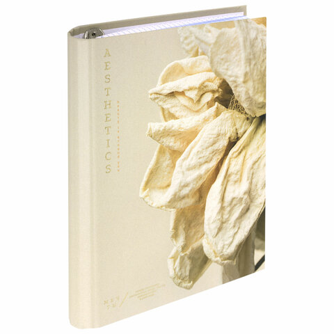 Тетрадь на кольцах, BRAUBERG, ″Softness″ Тетрадь на кольцах, BRAUBERG, ″Softness″