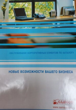 ГК ″САМСОН″: история успеха дилерского канала сбыта! ГК ″САМСОН″: история успеха дилерского канала сбыта!