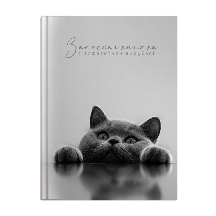Записная книжка с алфавитной вырубкой, 120x150 мм, 80 листов, твёрдый переплёт 7БЦ, глянцевая ламинация, глянцевая ламинация,