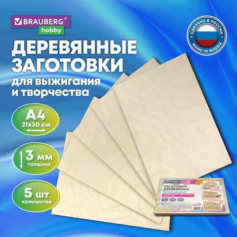 ��������� ��� ���������� BRAUBERG HOBBY