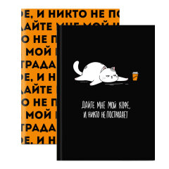 Записная книжка, формат А6+, 96 л, ФЕНИКС+ Записная книжка, формат А6+, 96 л, ФЕНИКС+