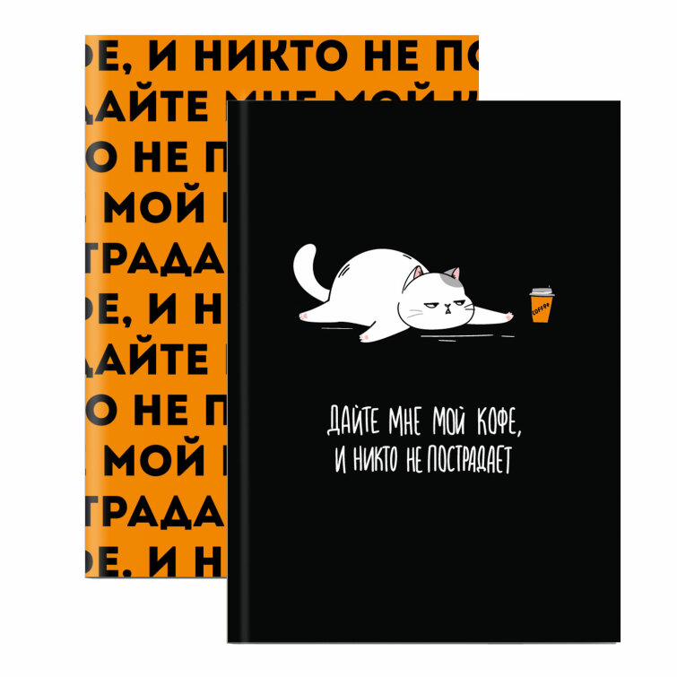 Записная книжка, формат А6+, 96 л, ФЕНИКС+ Записная книжка, формат А6+, 96 л, ФЕНИКС+