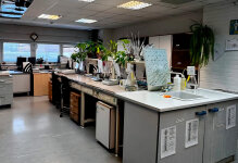 ���������-������������ ����������� ���� &laquo;������������ ���&raquo; �������� �������� ������������