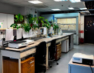 ���������-������������ ����������� ���� &laquo;������������ ���&raquo; �������� �������� ������������