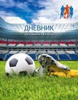 Дневники для мальчиков! Дневники для мальчиков!