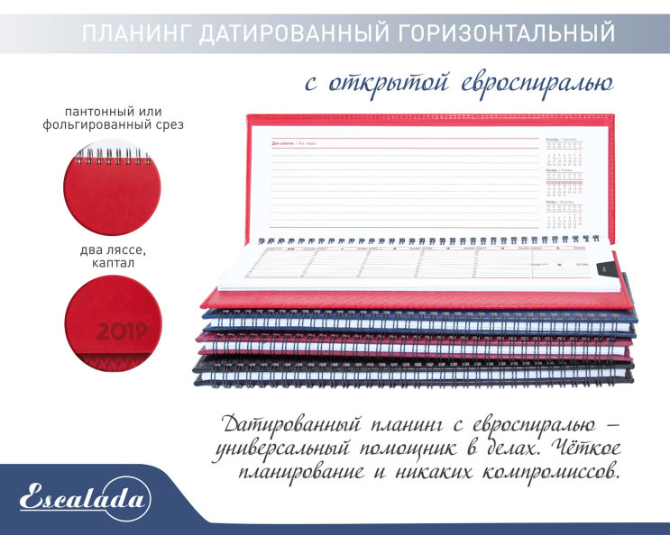 Планинг датированный с открытой евроспиралью Планинг датированный с открытой евроспиралью