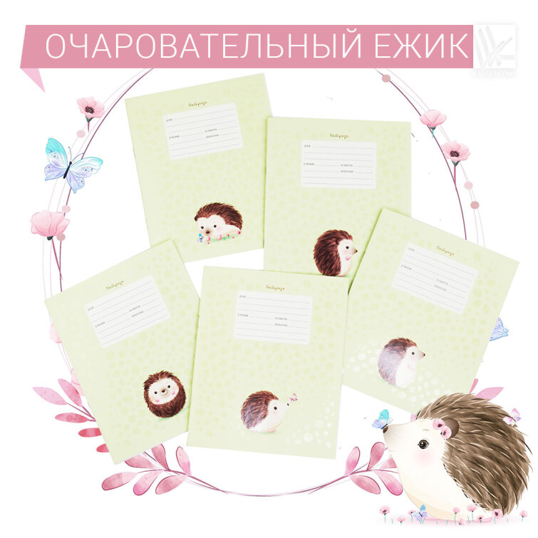 Колючая правда о ежах! Колючая правда о ежах!