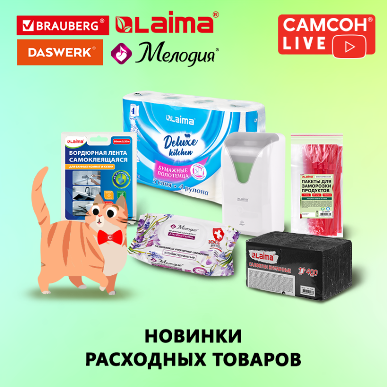 ������ LIVE: ������������-������� � ������������� ������