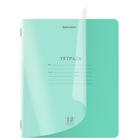 Тетрадь BRAUBERG ″Smart Cover″, косая линия, 12 листов Тетрадь BRAUBERG ″Smart Cover″, косая линия, 12 листов