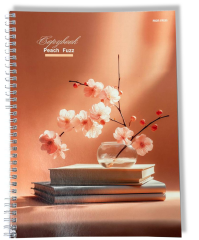 ������ ���� ���� � �������� �� Prof-Press