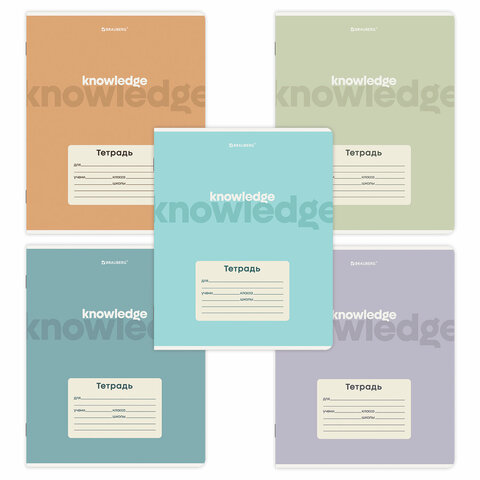 ������� BRAUBERG, KNOWLEDGE
