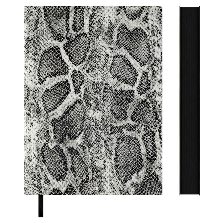   ESCALADA,  6+, 160 .,  ,  ,   ″″,  