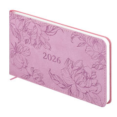   2026 ESCALADA,  150x87 , 64 .,  ,   ″″,  