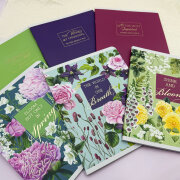 ����� &laquo;�������&raquo; 2025: ������� ����� �� ���� ���������������� � ������� ������.