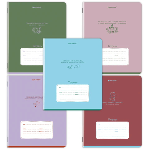 ������� 12 �. BRAUBERG ������, PHRASES