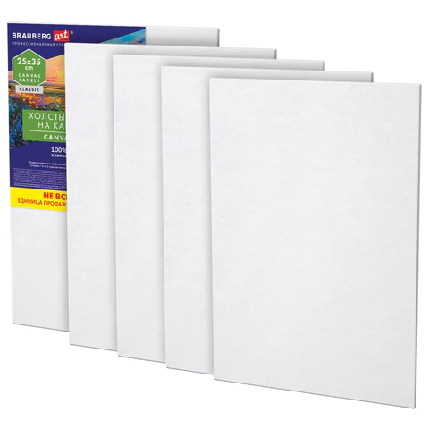 ������ �� ������� (25�35 ��), ������, 280 �/�2, �����, BRAUBERG ART CLASSIC, 5 ����