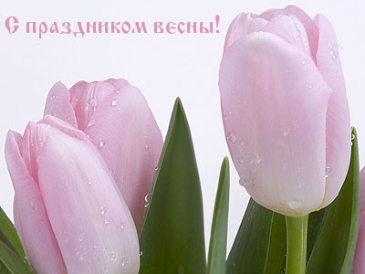 � ���������� 8 �����, ����� �������!