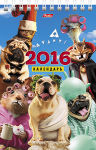 ���������� � ��������� ���������� �� 2016 ��� �� Hatber .