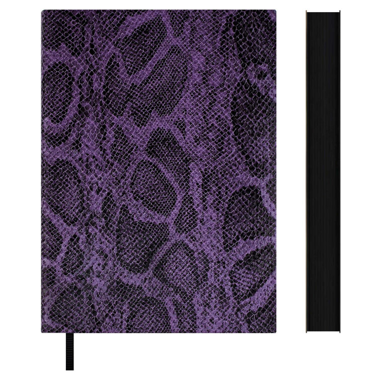   ESCALADA,  6+, 160 .,  ,  ,   ″″,  