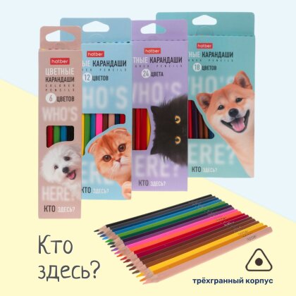 Цветные карандаши «Кто здесь?» от Hatber: крутые карандаши в крутой коробке! Цветные карандаши «Кто здесь?» от Hatber: крутые карандаши в крутой коробке!