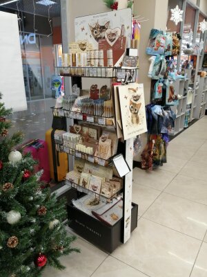 «Мы уверенно стоим на ногах и смотрим в будущее с оптимизмом»: Светлана Пак «Мы уверенно стоим на ногах и смотрим в будущее с оптимизмом»: Светлана Пак