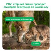 Светогорский ЦБК планирует привлекать молодых специалистов через новый Telegram-канал Светогорский ЦБК планирует привлекать молодых специалистов через новый Telegram-канал