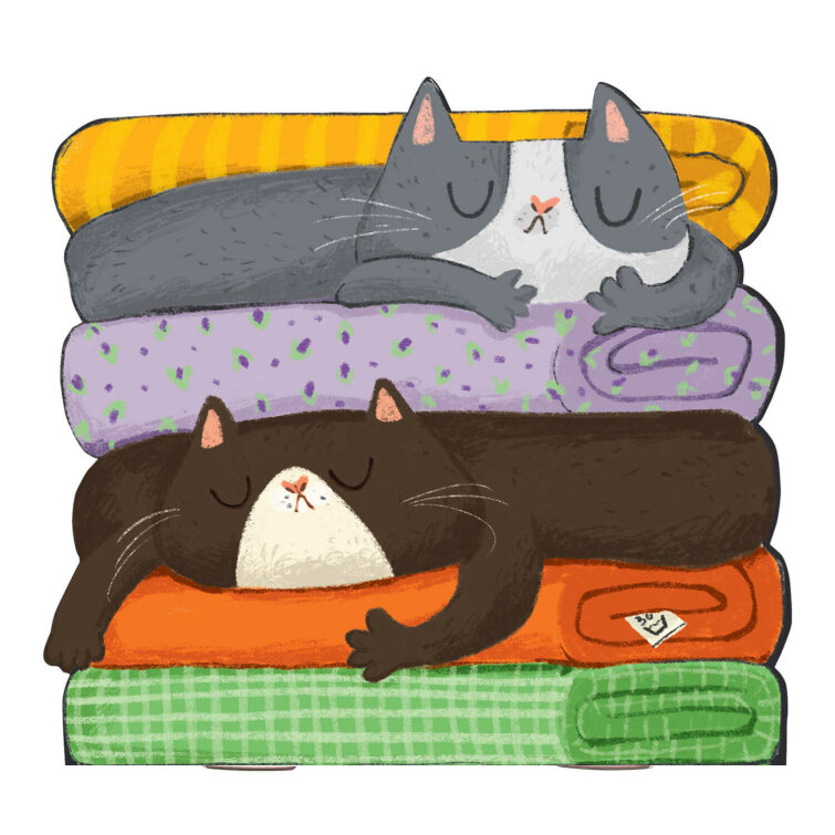 �������, ������ 130�120 ��, ���������� ������ 32, ������ ������� (2 �����), ����� �����, 65 �/�², ������� ���������