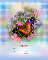Тетрадь ученическая ″Silk Wings″: эффект бабочки Тетрадь ученическая ″Silk Wings″: эффект бабочки