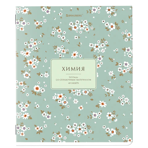 ������� ���������� ″BLOSSOM″ BRAUBERG, �����, 48 ������