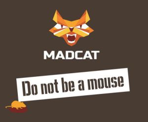Новый дерзкий бренд MADCAT Новый дерзкий бренд MADCAT