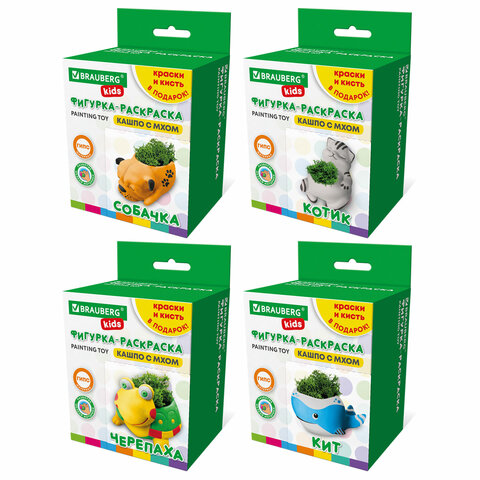 ����� �� ����� �� ���� BRAUBERG KIDS